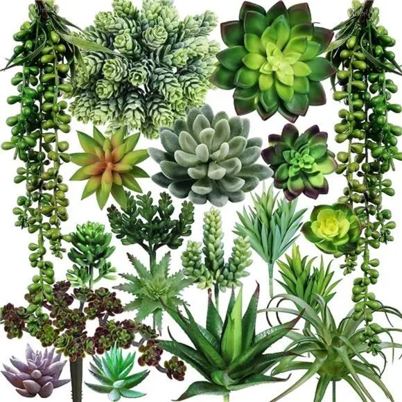 Accents | 19 Pcs Assorted Artificial Succulents Plants Unpotted Green Hanging  Succulent | Poshmark